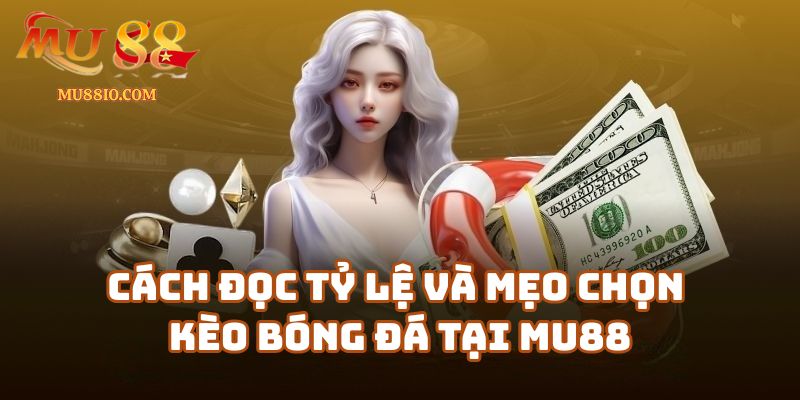 cac loai keo bong da mu88 2 Cách đọc tỷ lệ và mẹo chọn kèo bóng đá tại linkmu88.cc